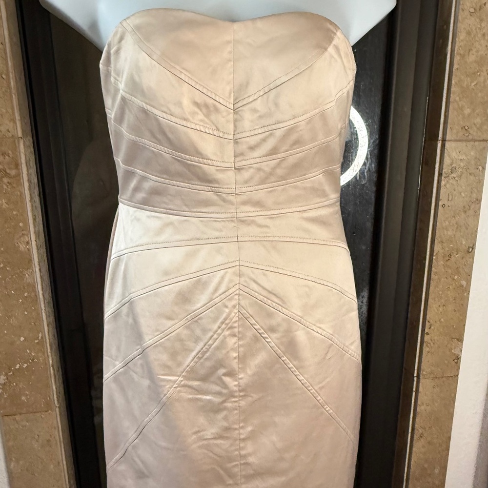 Champagne Cocktail dress